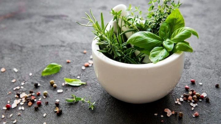 Plantas aromáticas que debes tener Sí o Sí en tu cocina para acompañar tus comidas
