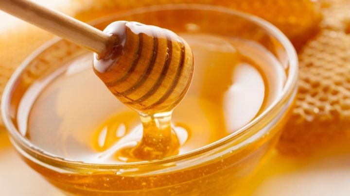 Hormigas en casa: Aleja esta plaga con una trampa de miel
