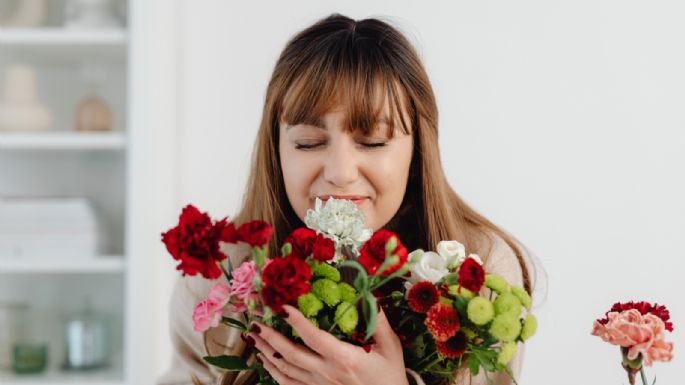 ¡Que no se marchiten! Hidrátalas con cloro para tenerlas lindas por más tiempo