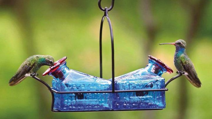 Atrae a los colibríes a tu jardín con este bebedero hecho en casa