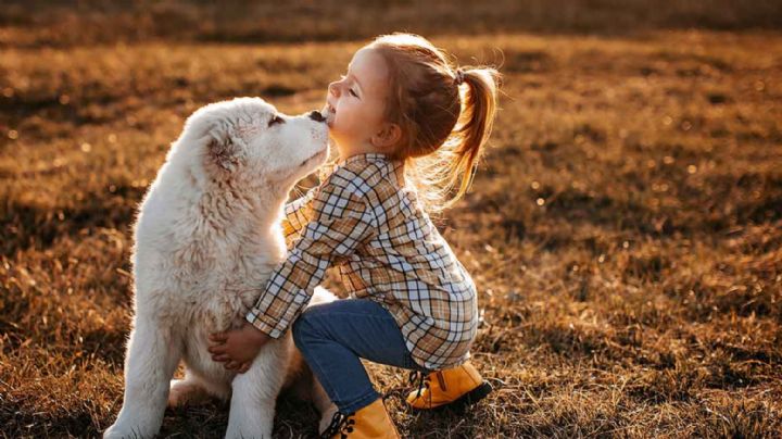 Tener perros en casa previene esta peligrosa enfermedad intestinal en tus niños