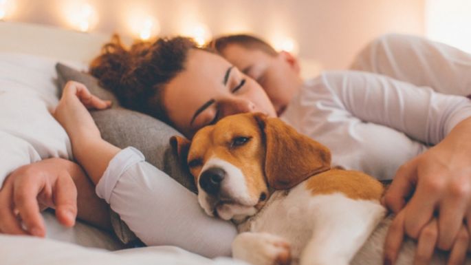 ¿Duermes con tu perro? Entérate de los inconvenientes de compartir cama con él