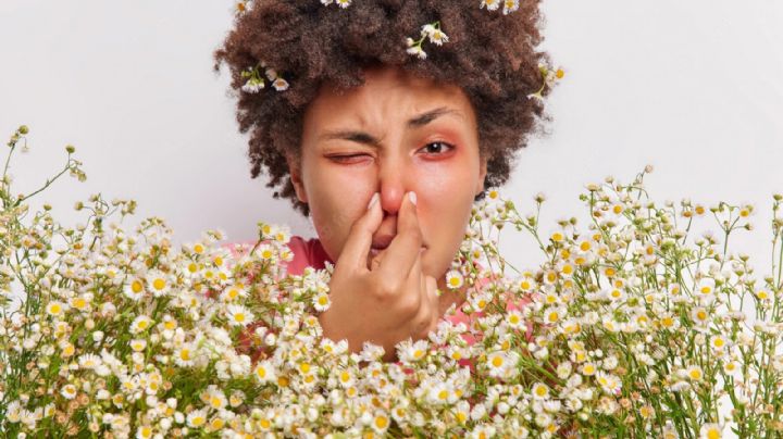 Flores y plantas que más provocan alergias; son bonitas pero dañan tu salud