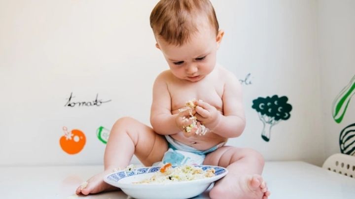 Nutrientes que debe consumir tu bebé para el buen funcionamiento de su cerebro