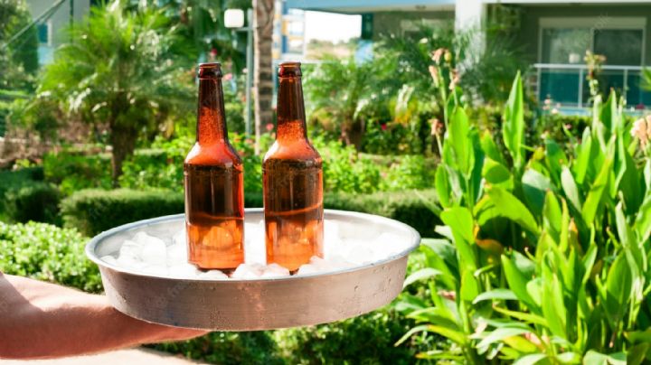 No solo para aliviar la sed: Usos que puedes darle a la cerveza en tu jardín