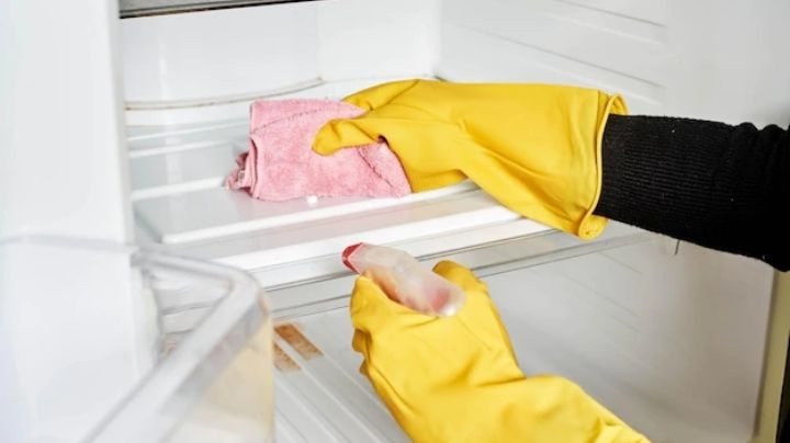 ¿Ya lavaste tu refrigerador? Cada cuánto tiempo debes lavar este electrodoméstico