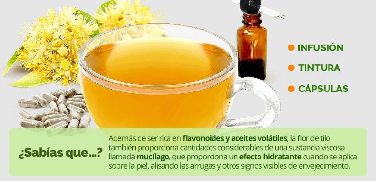 Propiedades del té de tila 