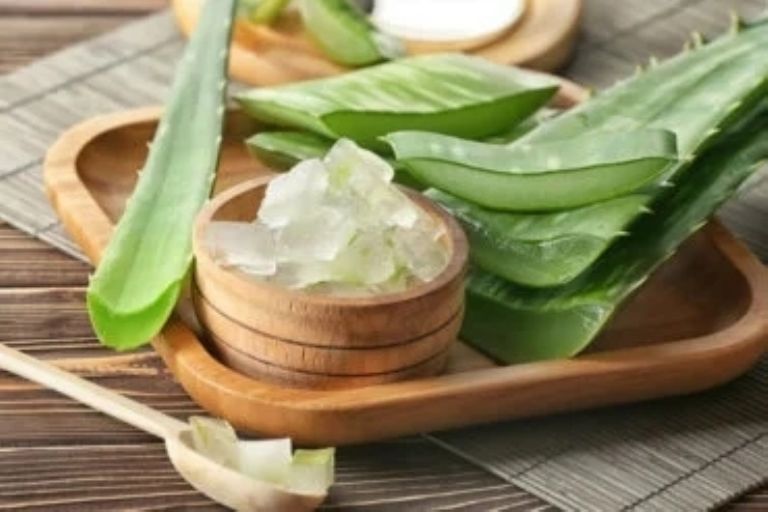 El aloe vera se usa para la piel y el cabello