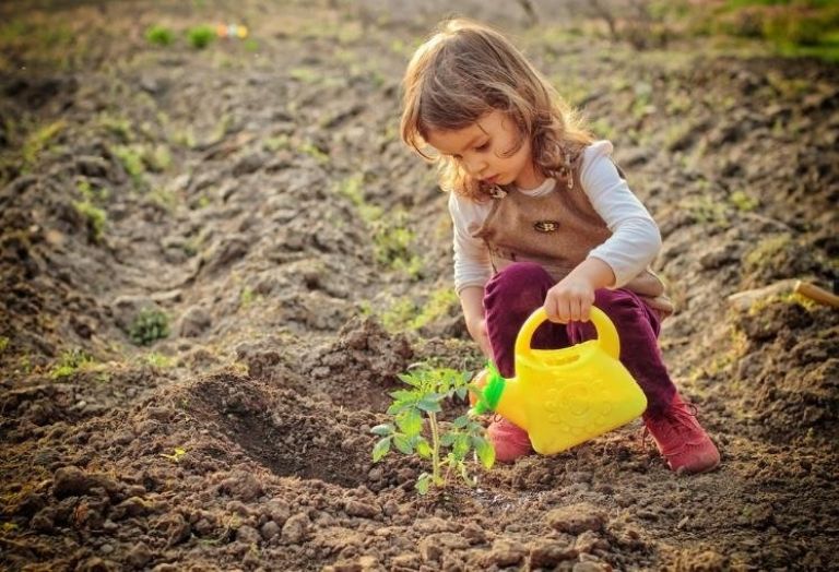 Actividades Montessori para el verano