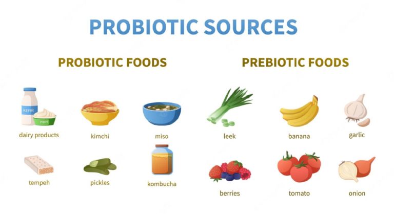 Alimentos con prebióticos y probióticos 