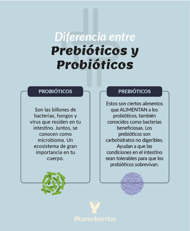 Diferencias entre prebióticos y probióticos