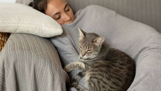 ¿Con ganas de una siesta? Minutos que debe de durar para un descanso efectivo