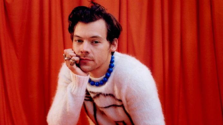 Fans se enojan en redes sociales con Harry Styles; conoce lo que desató su ira