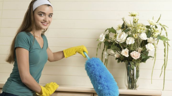 Usa este repelente de polvo para mantener tus muebles limpios por más tiempo
