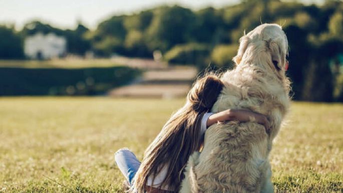 Día del Perro: Poderosas razones para adoptar a un amigo peludo de cuatro patas