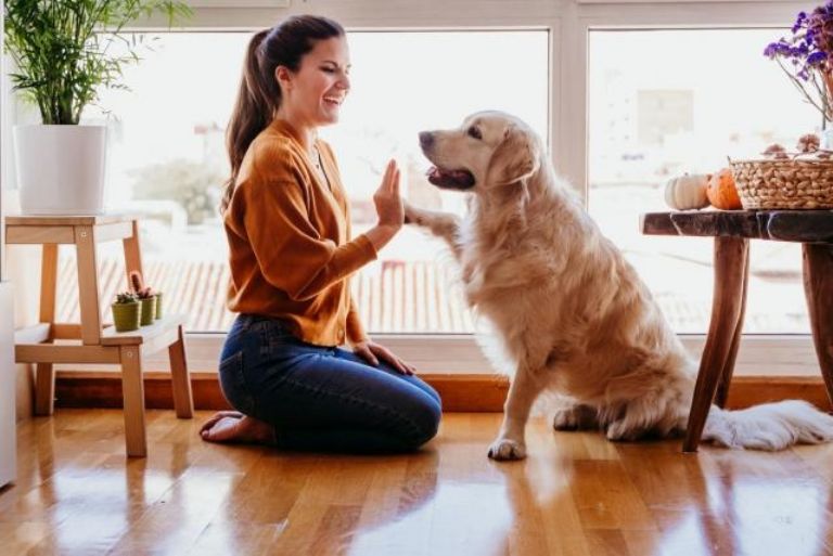 Beneficios de tener perros