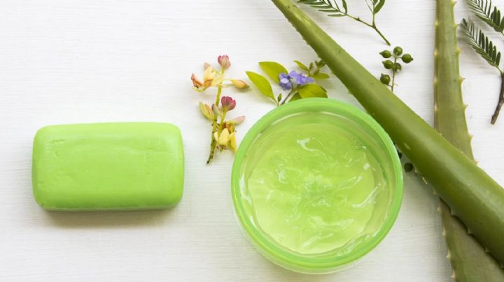 Jabón de aloe vera: Aprende a hacer en casa para lucir una piel radiante