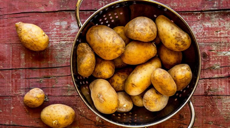 Dieta para evitar el cáncer