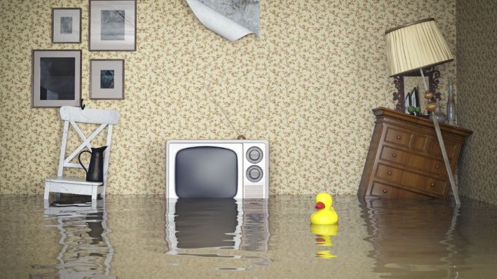 Ante el riesgo de inundación, estas son las medidas que debes tomar en tu casa