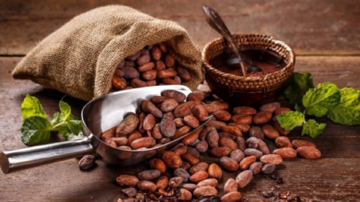 Día Mundial del Cacao: Descubre la ceremonia espiritual con chocolate