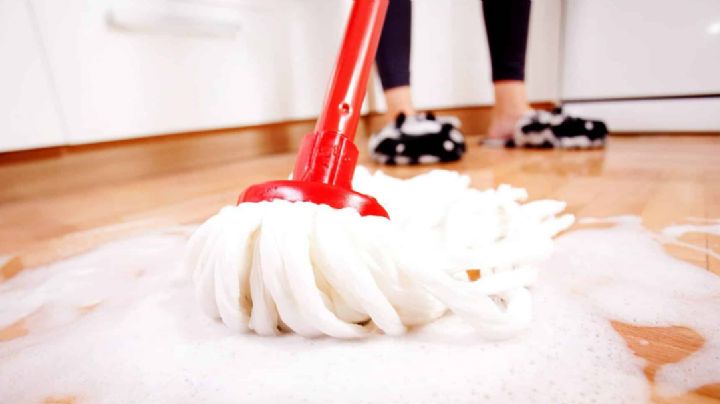 ¿Tienes mascota? Desinfecta al 100% el piso con este limpiador hecho en casa