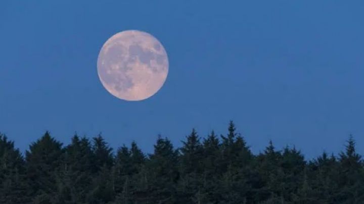 Aprovecha la energía de la Superluna de agosto para llamar al amor a tu vida