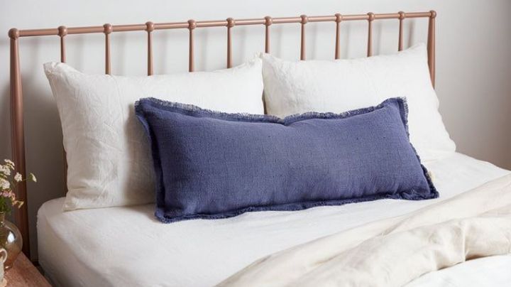 Hablemos sobre piojos: ¿Cuánto tiempo sobreviven en una almohada?