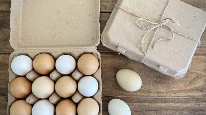 Cartones de huevo: 3 grandiosas formas de reutilizarlos y ayudar al medioambiente