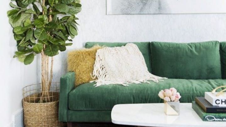 Características de un buen sillón y dónde posicionarlo, según el Feng Shui