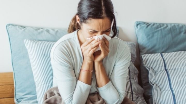 Alivia los síntomas de gripa con comida; 5 alimentos que te harán sentirte mejor