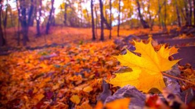 Detalles del equinoccio de otoño 