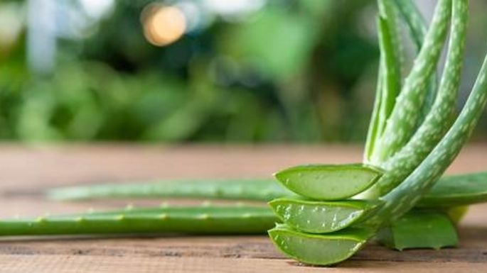 Que no se te pase: Estos son los beneficios de congelar el aloe vera