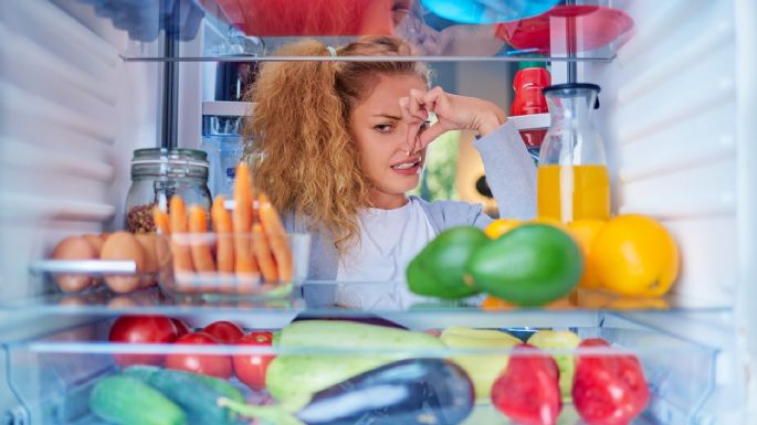 Descubre por qué es imprescindible colocar una esponja dentro del refrigerador