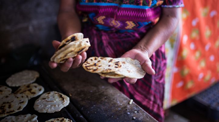 No las tires: Así puedes hidratar las tortillas que se hicieron duras para la hora de la comida