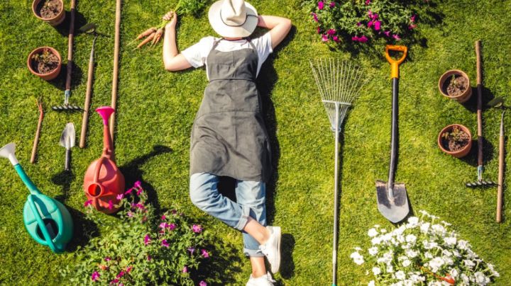 'Slow gardering': Conoce los principios de esta tendencia en jardinería