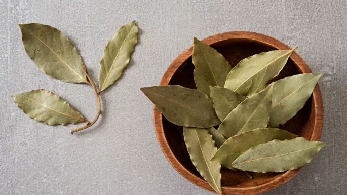 ¿Desorden del sueño? ¡Descubre cómo usar las hojas de laurel para las noches reparadoras!