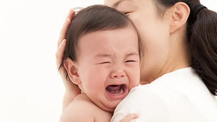 Chinches: ¿Qué debo hacer si muerden a mi bebé? Mantén a salvo a tu pequeño con estos consejos