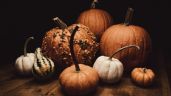6 formas de usar la calabaza en tu rutina de belleza; aprovecha este fruto de temporada de otoño