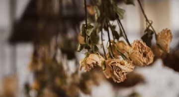 ¡No tires tus flores marchitas! He aquí 3 formas de cómo puedes usarlas de manera diferente