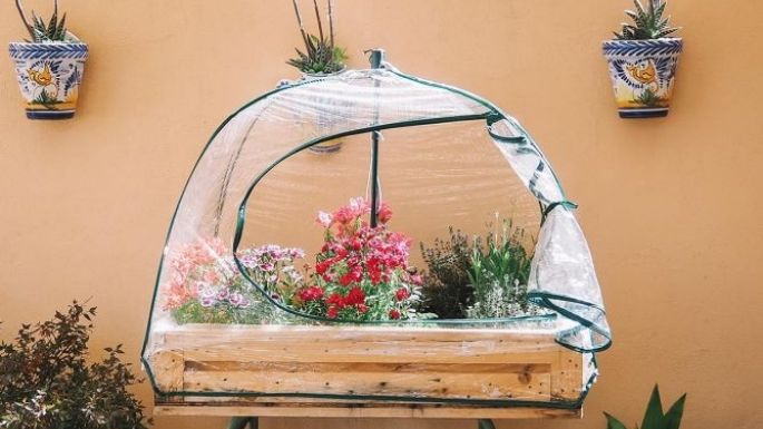 ¿Cómo cubrir las plantas cuando hace frío? Evita que se marchiten con estos trucos para darles calor