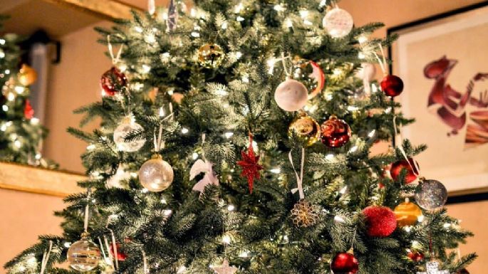 Cuidados que necesita tu árbol de Navidad natural para no perder sus agujas tan pronto