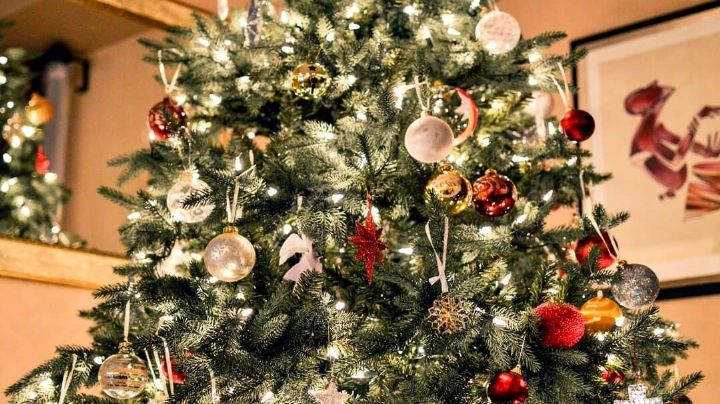 Cuidados que necesita tu árbol de Navidad natural para no perder sus agujas tan pronto