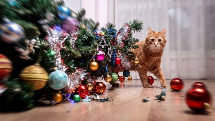 ¿Tienes gato en casa? Aquí algunas alternativas de árbol de Navidad para que no lo tiren