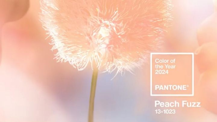 'Peach fuzz': Conoce el color que Pantone ha elegido para representar al 2024