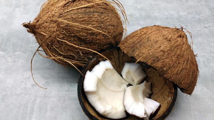 Delita a tus seres queridos con esta sabrosa natilla de coco de 4 ingredientes