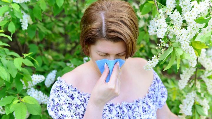 Tratamientos naturales para hacerle frente a la alergia por polen