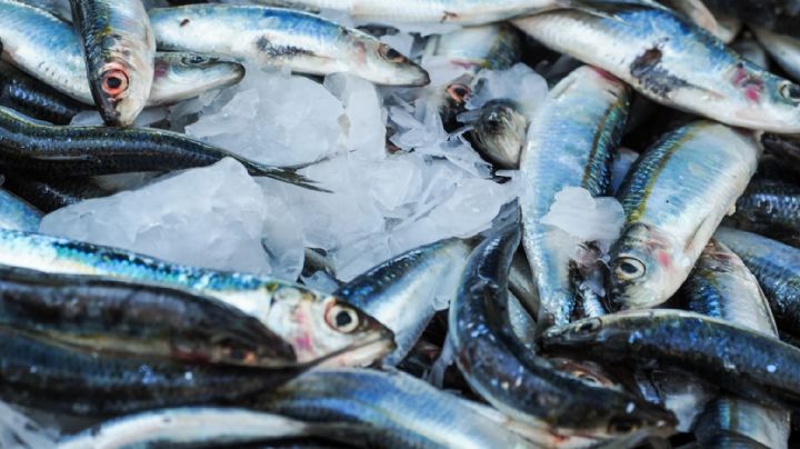 Evita intoxicaciones: Cómo limpiar el pescado correctamente en Cuaresma