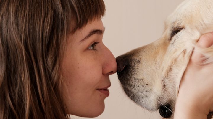 Día Mundial de la Esterilización Animal: 8 razones importantes para castrar a tus mascotas