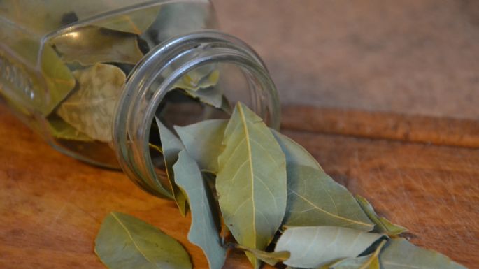 Elimina los malos olores de tu cocina con este fresco y casero aromatizante de laurel