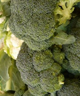 TIPS: Así debes preparar el brócoli y la coliflor para que no te provoquen gases